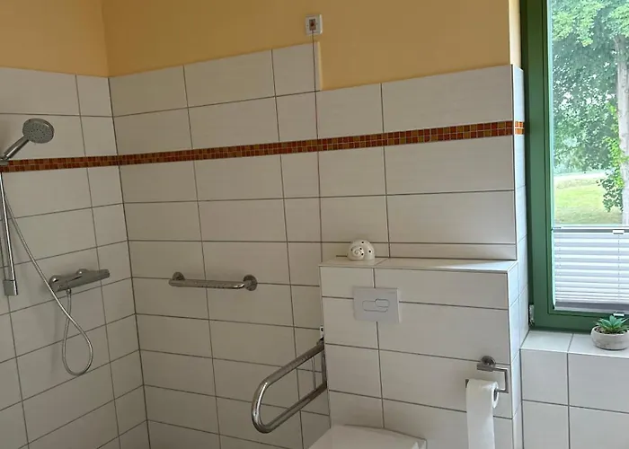 Pusteblume Meyenburg (Prignitz)